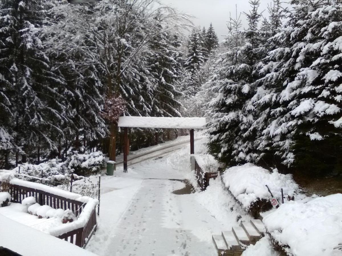 Chata Pod Brdom Ruzomberok Dış mekan fotoğraf